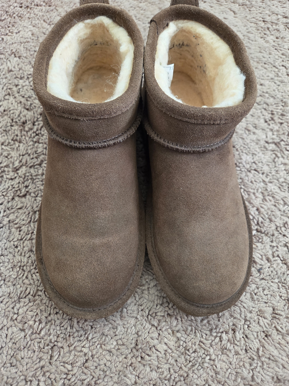 Shorty Earth Bearpaws